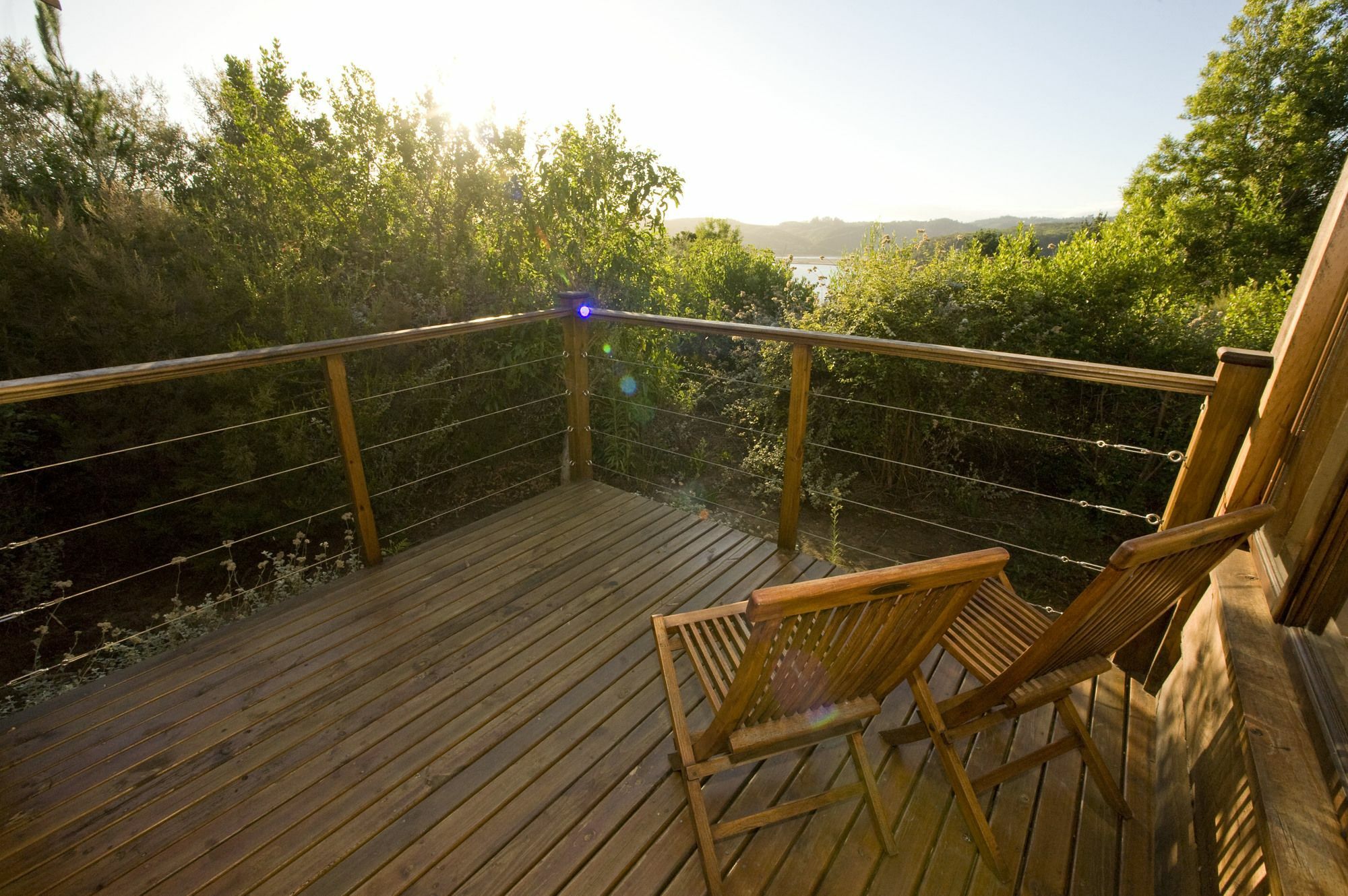 Elephant Hide Of Knysna Guest Lodge Exterior photo